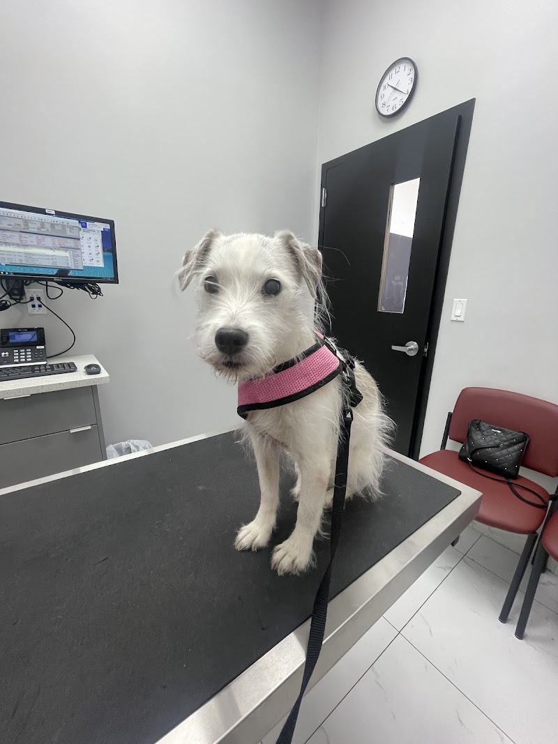 Bronx Veterinary Center