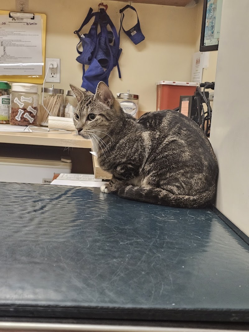 Bronx Veterinary Center
