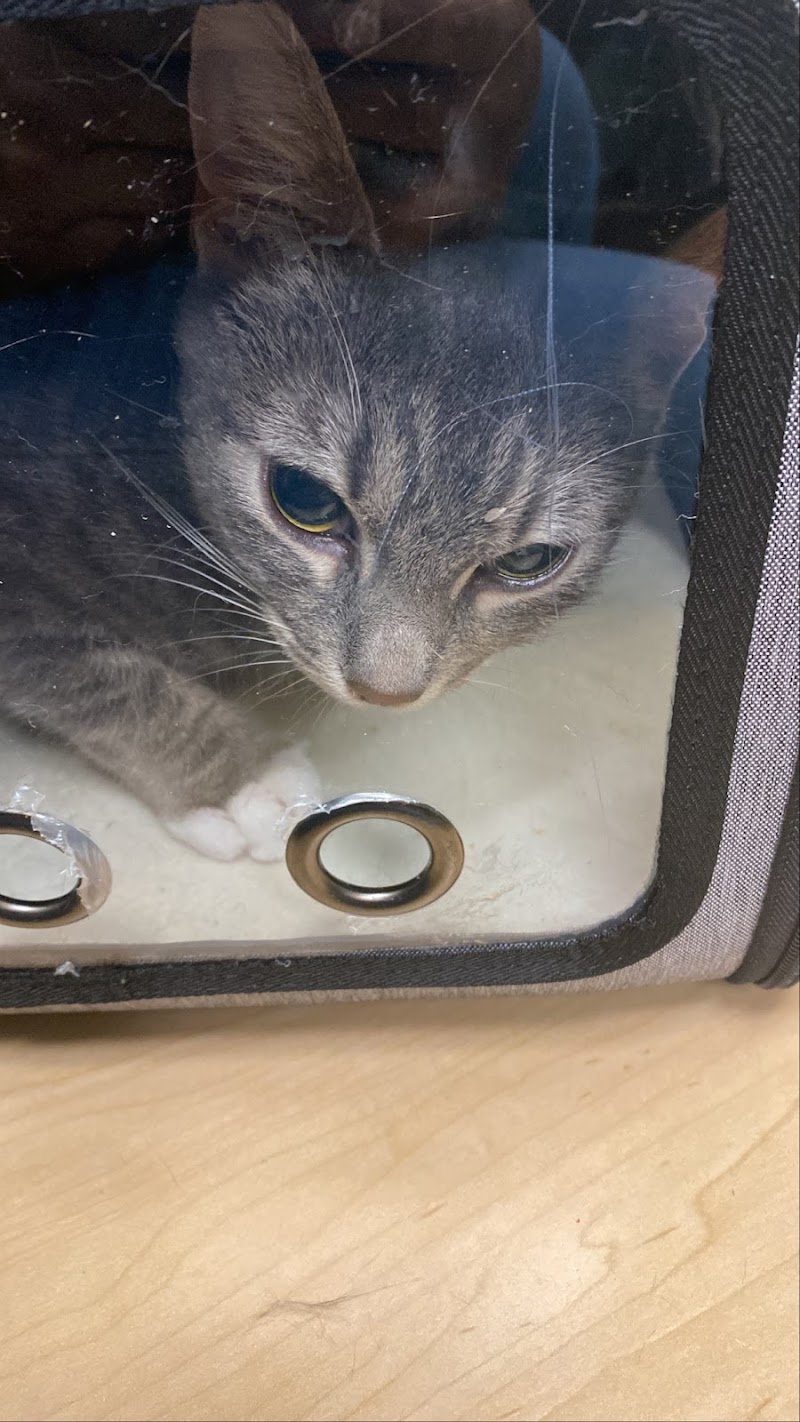 Bronx Veterinary Center