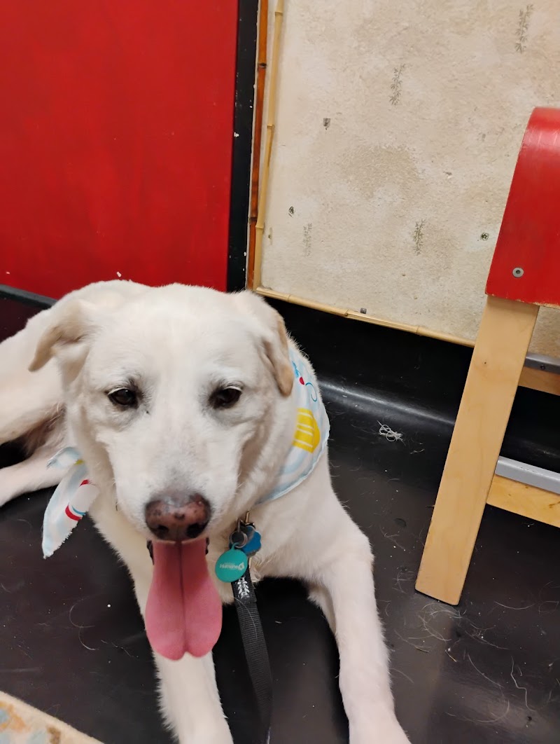 South San Diego Veterinary Hospital