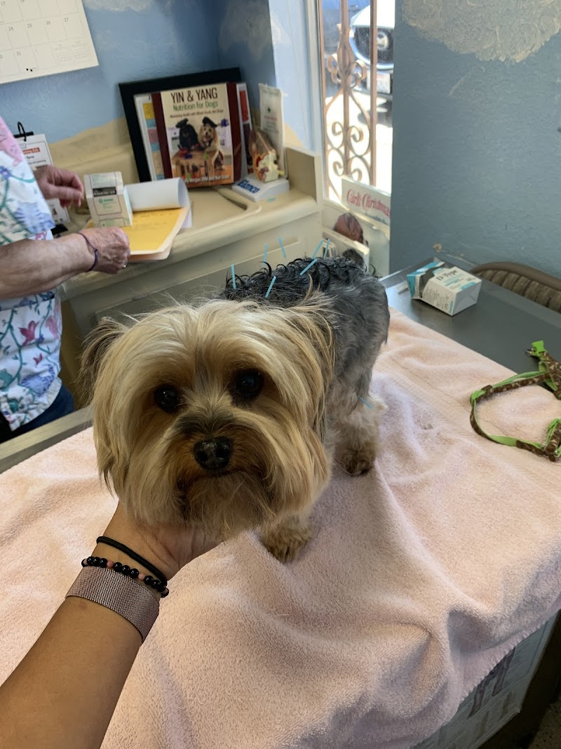 South San Diego Veterinary Hospital