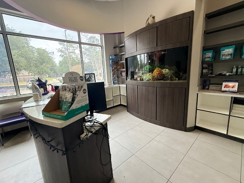 Cy-Fair Animal Hospital