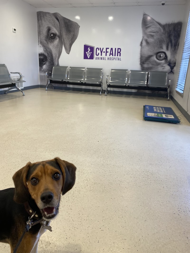 Cy-Fair Animal Hospital