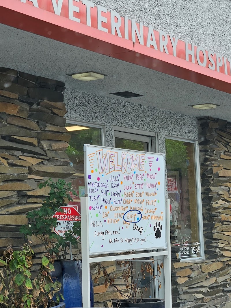 Aurora Veterinary Hospital