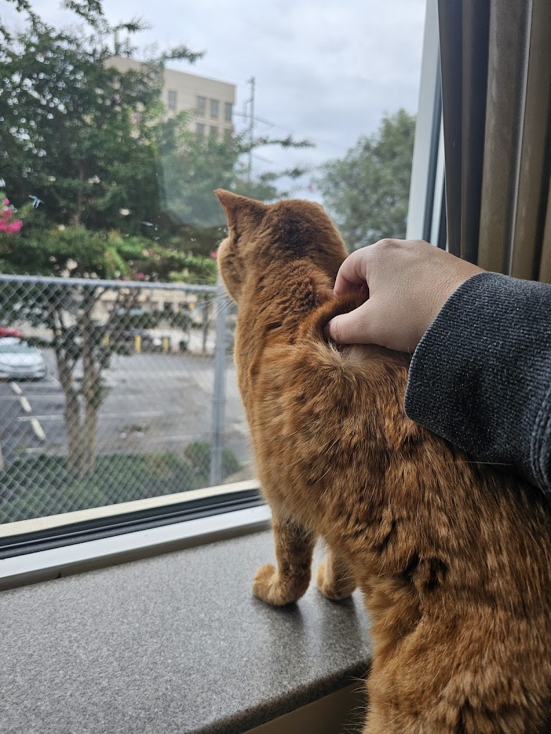 Animal Emergency Center of Sandy Springs