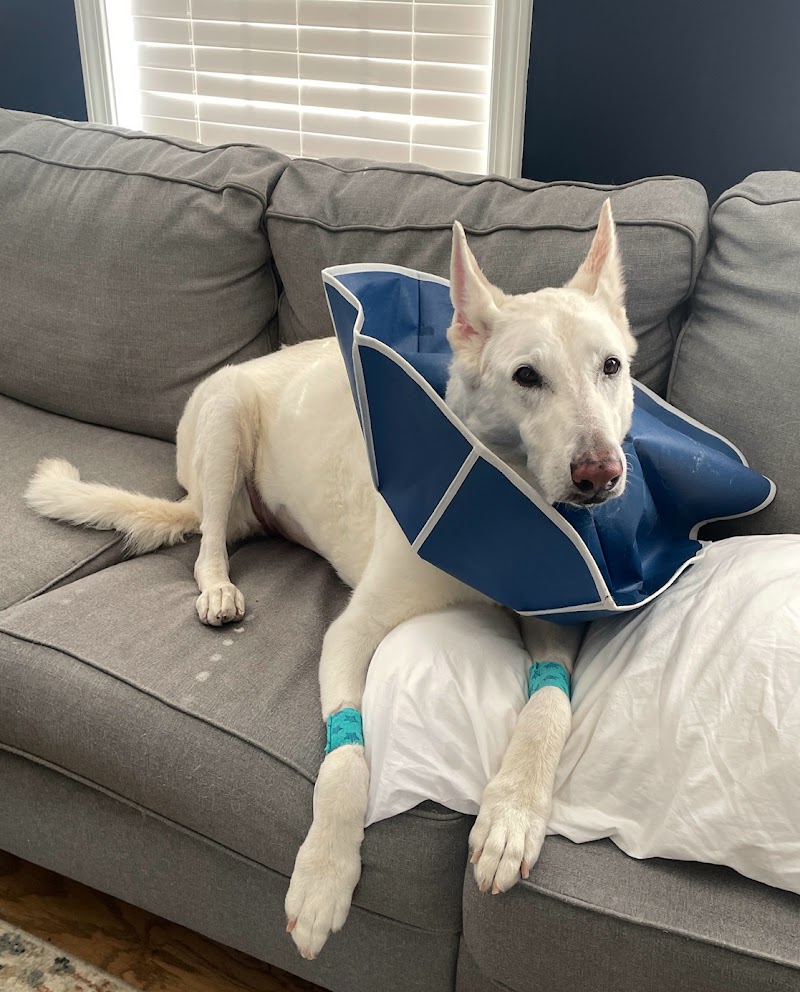 Animal Emergency Center of Sandy Springs