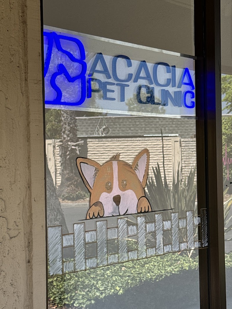 Acacia Pet Clinic San Jose