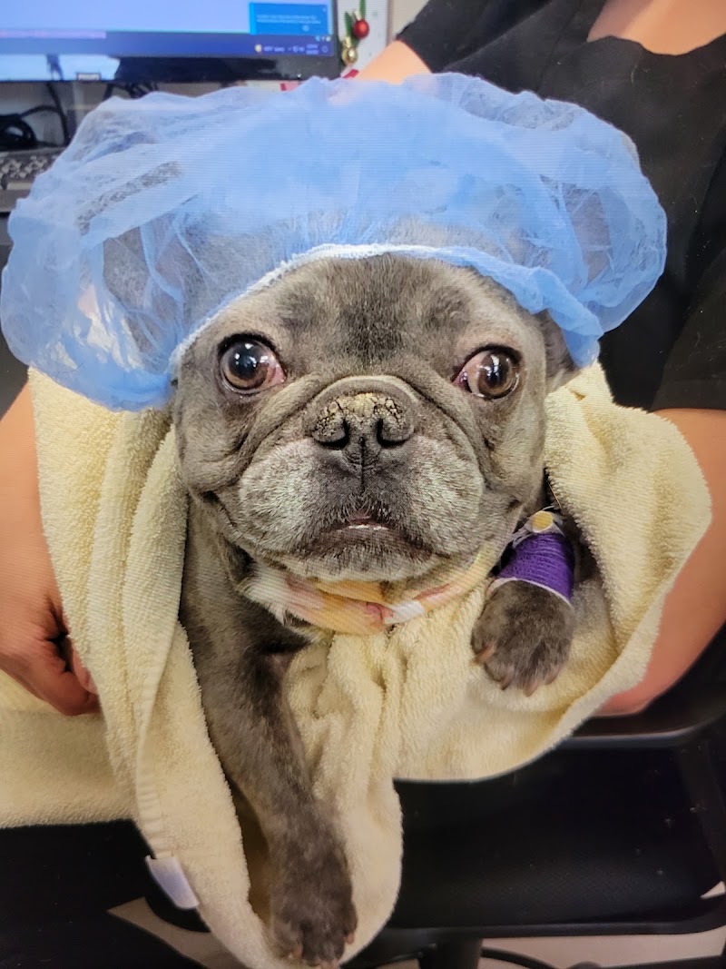 Tucson Veterinary Specialists