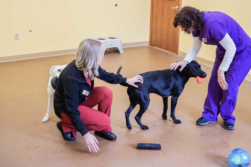 Plymouth Heights Pet Hospital