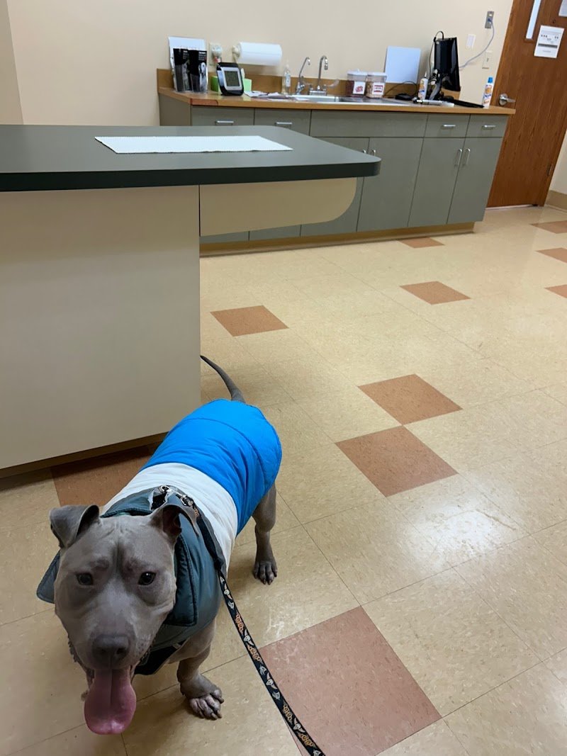 Plymouth Heights Pet Hospital