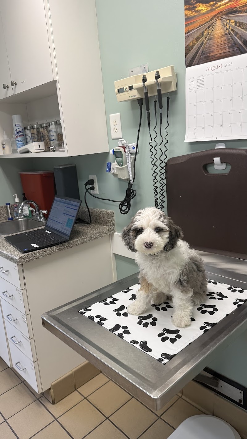 Pharr Road Animal Hospital