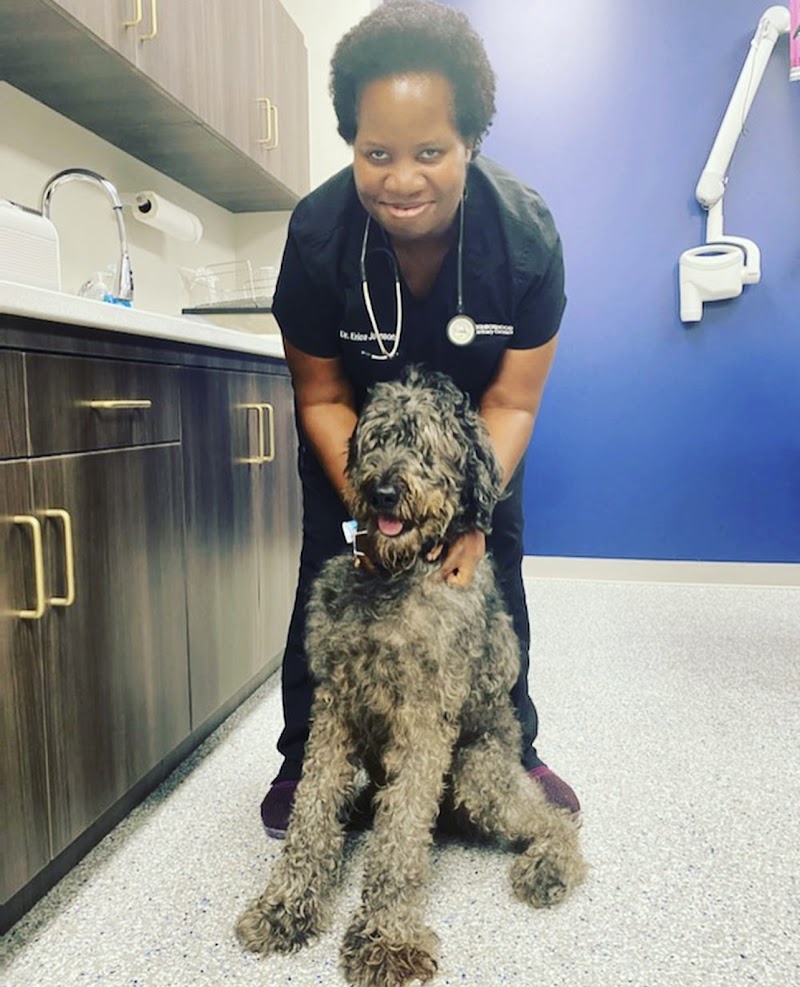 Neighborhood Veterinary Centers - Richmond