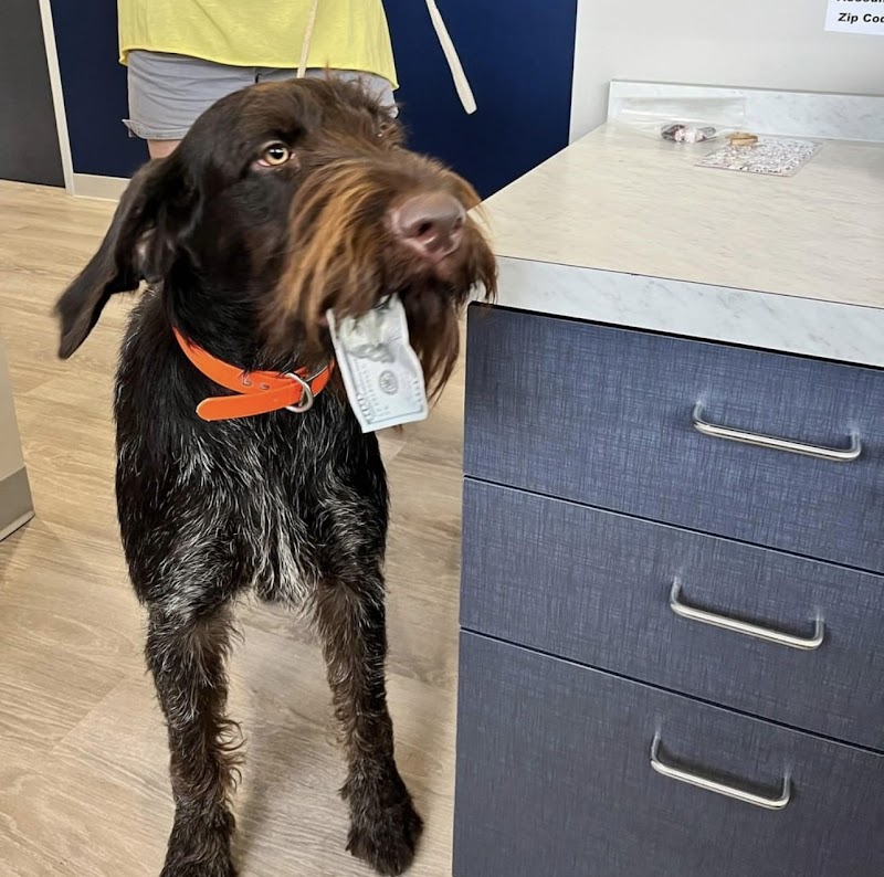 Neighborhood Veterinary Centers - Richmond