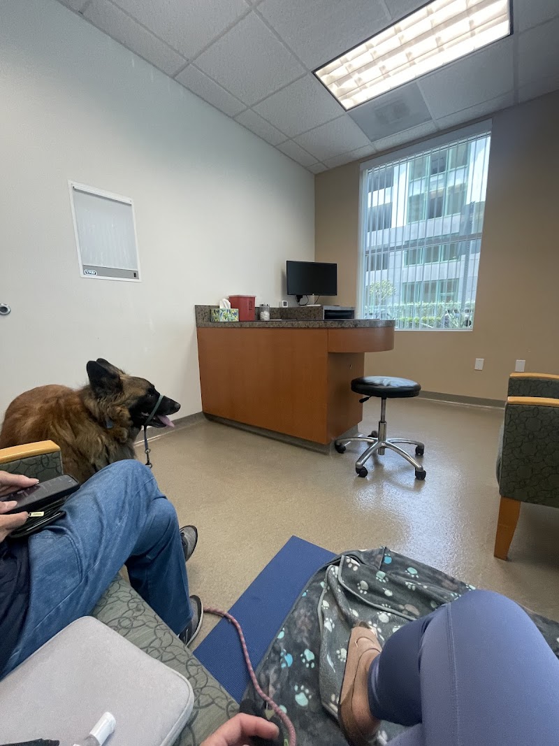 Veterinary Neurology Center
