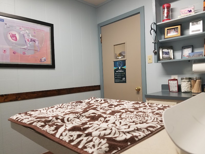 Austin Pet & Exotic Hospital