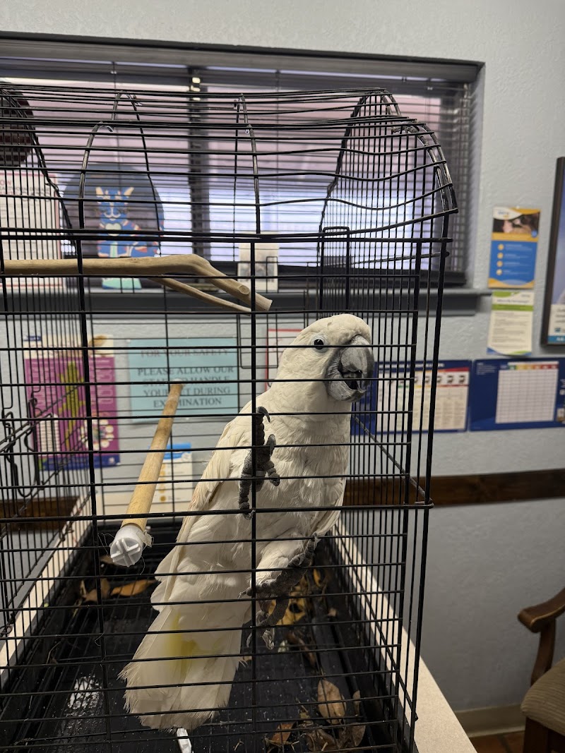 Austin Pet & Exotic Hospital