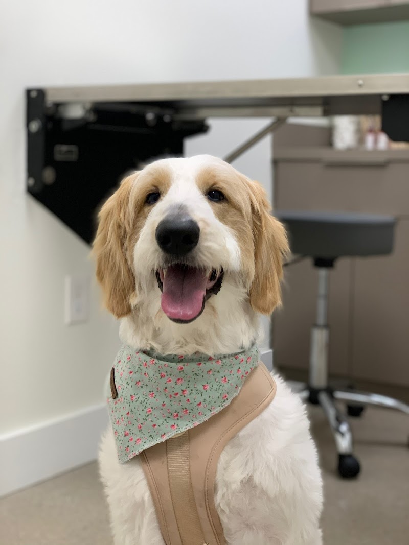 My Pet Hospital - Emergency Vet Pinecrest