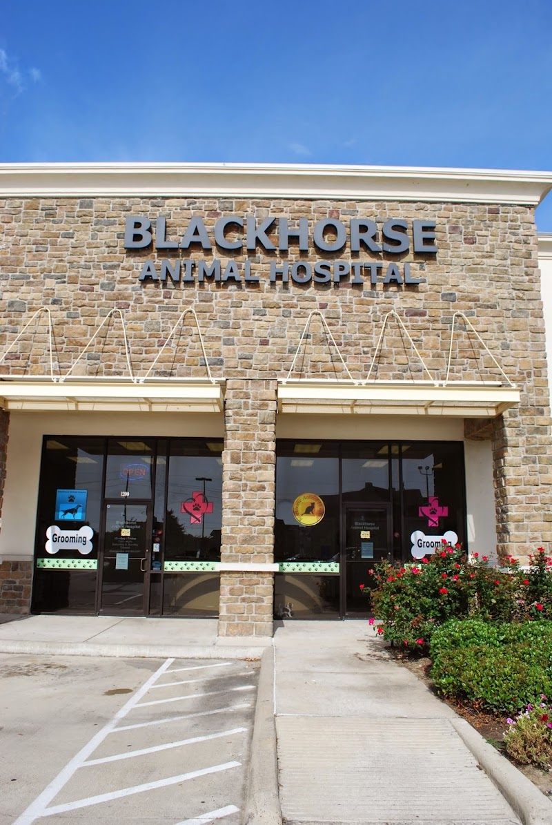Blackhorse Animal Hospital