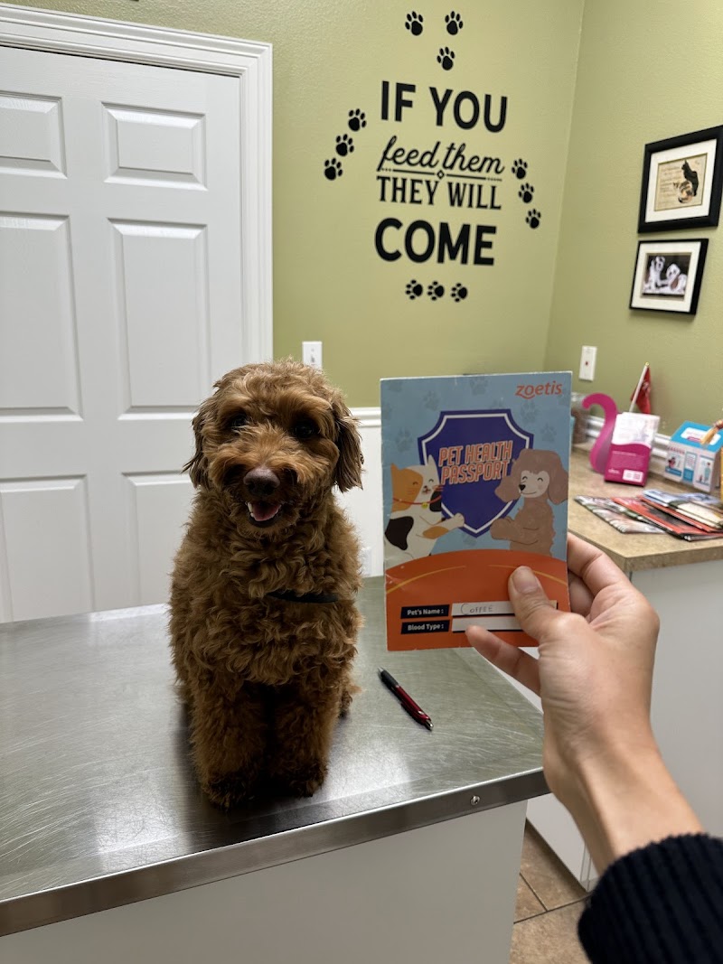 Blackhorse Animal Hospital