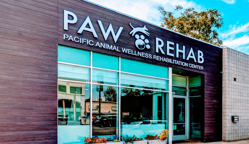 PAW REHAB Pacific Animal Wellness Rehabilitation Center