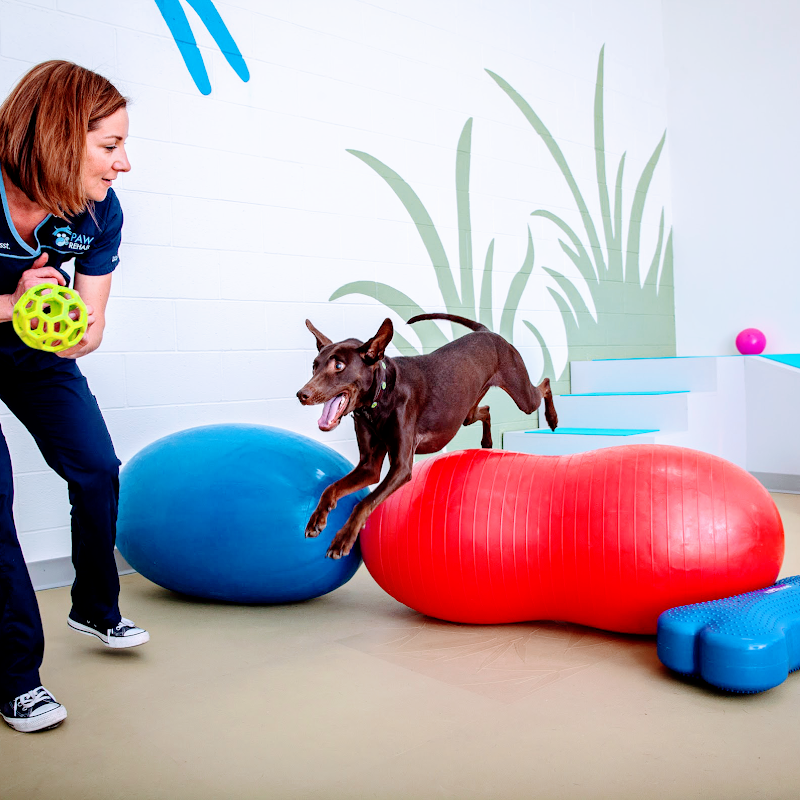PAW REHAB Pacific Animal Wellness Rehabilitation Center