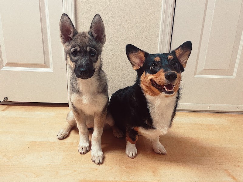 AllCare Veterinary Hospital of Pacifica