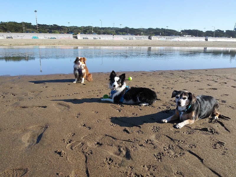 AllCare Veterinary Hospital of Pacifica