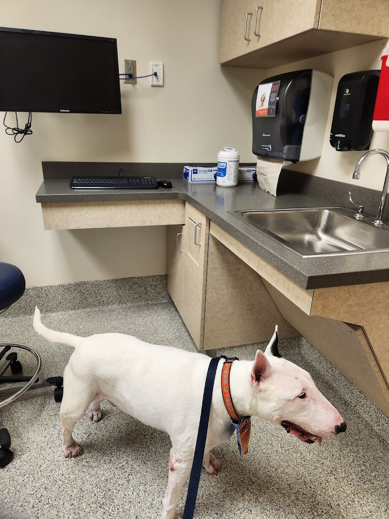 Wilford & Kate Bailey Small Animal Teaching Hospital