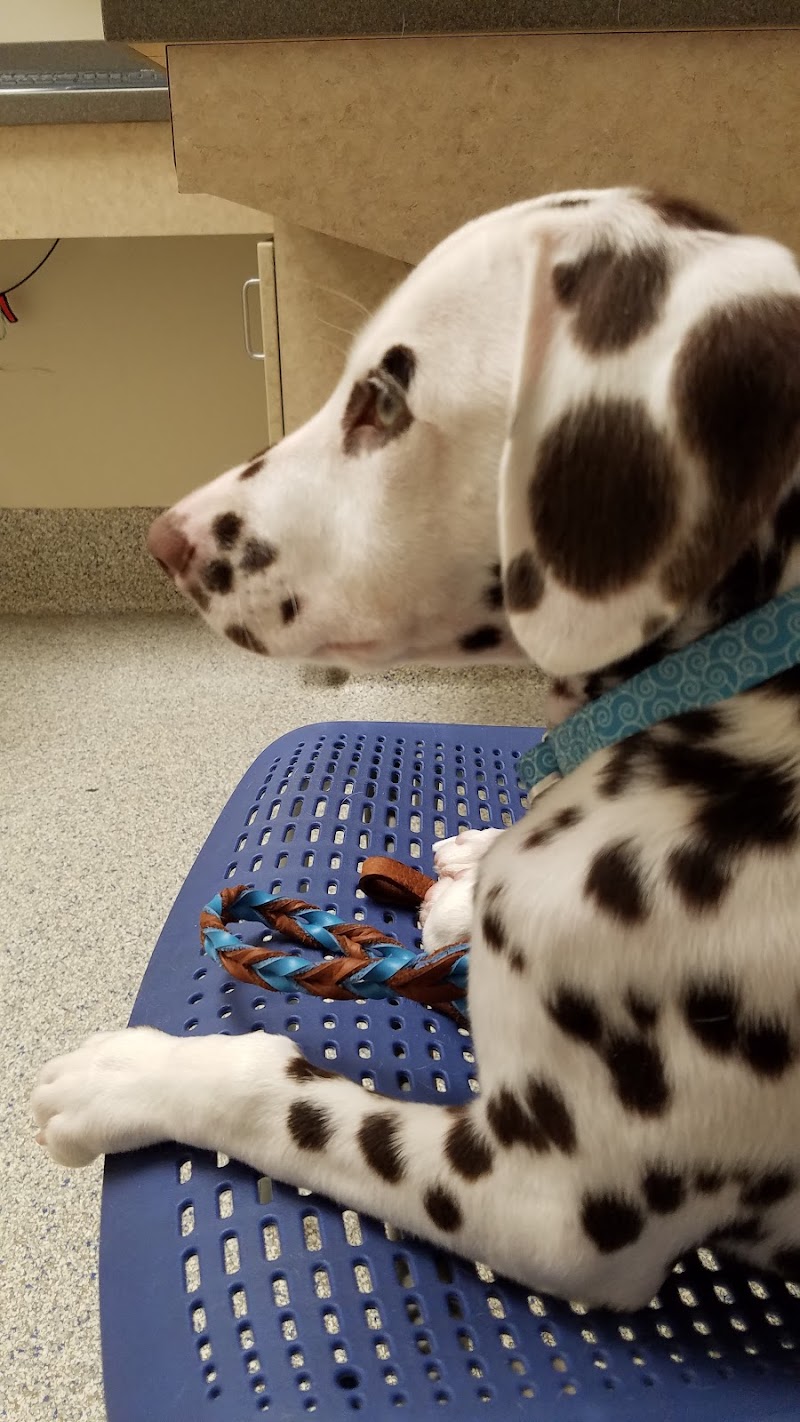 Wilford & Kate Bailey Small Animal Teaching Hospital