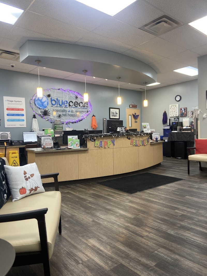 BluePearl Pet Hospital Katy