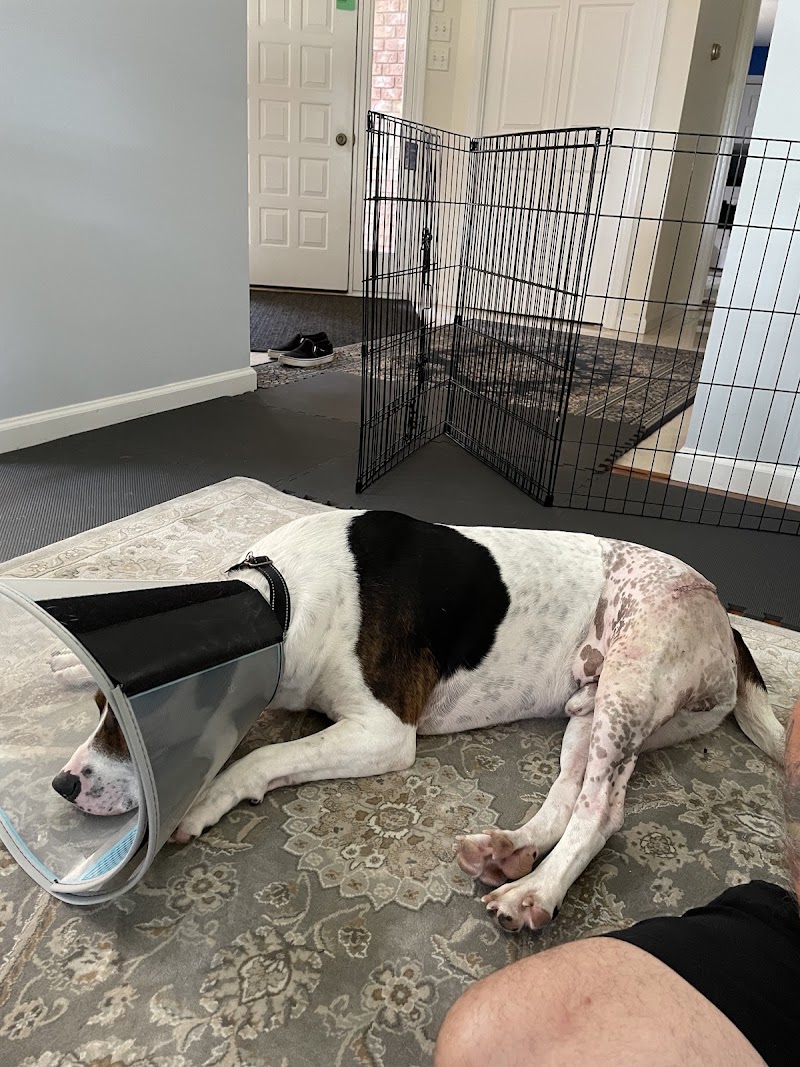 Veterinary Surgical Centers