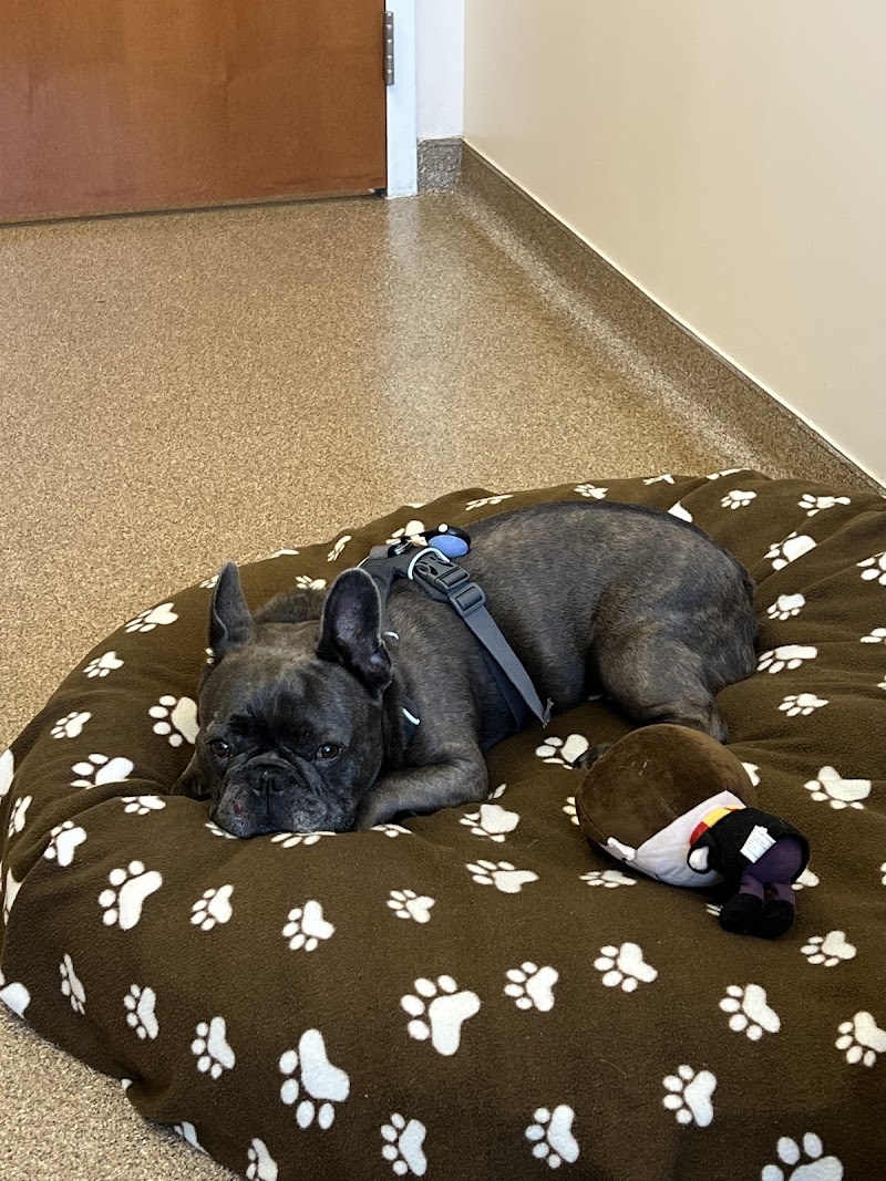 Veterinary Surgical Centers