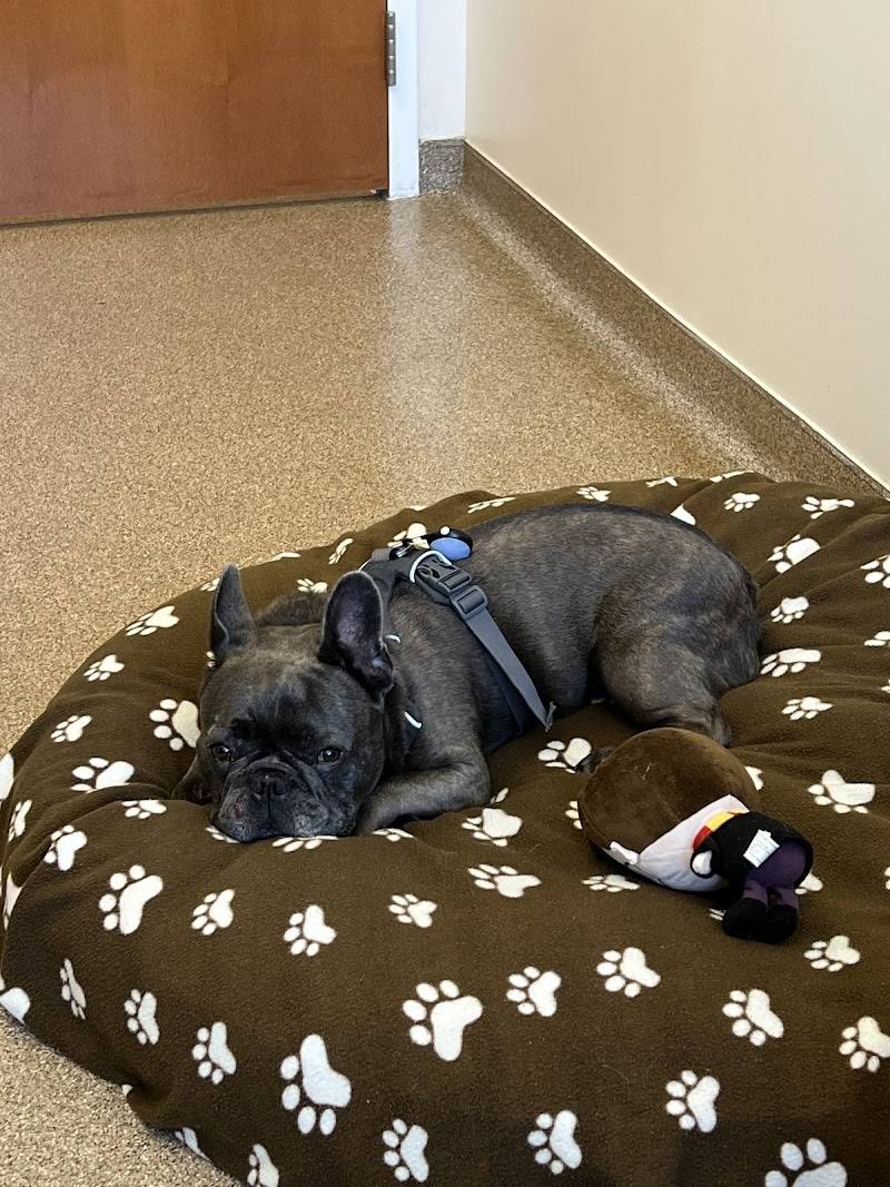 Veterinary Surgical Centers
