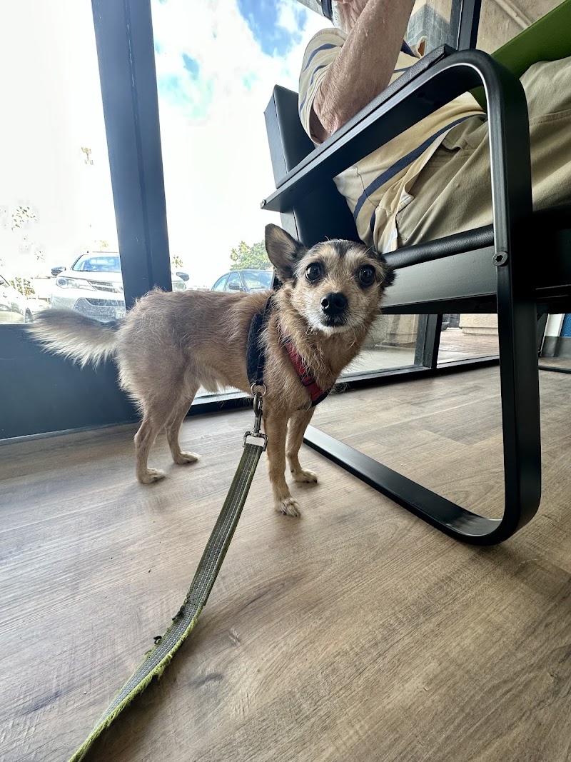 San Marcos Blvd Veterinary Hospital & Urgent Care - Emergency Vet