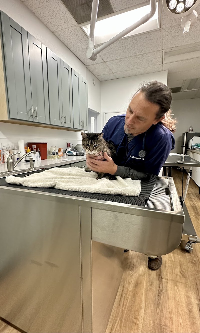 San Marcos Blvd Veterinary Hospital & Urgent Care - Emergency Vet