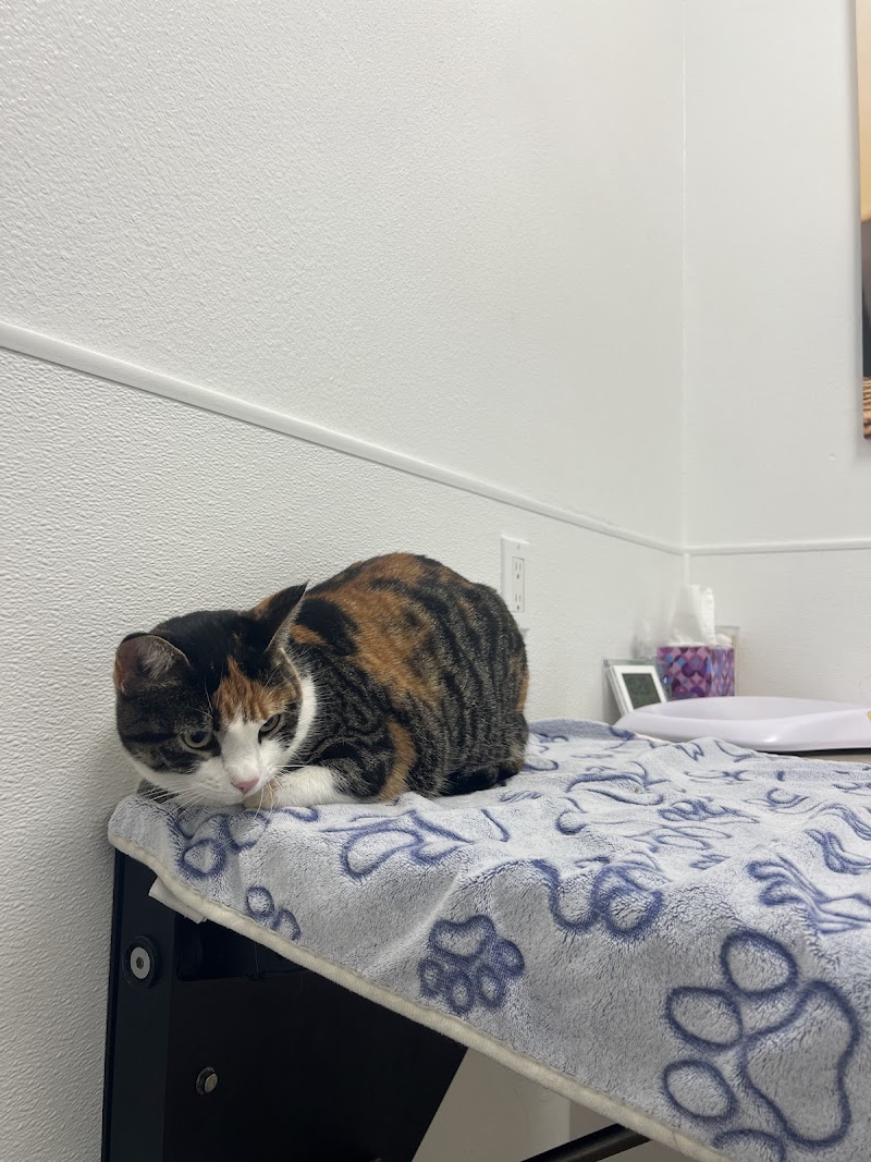 San Marcos Blvd Veterinary Hospital & Urgent Care - Emergency Vet