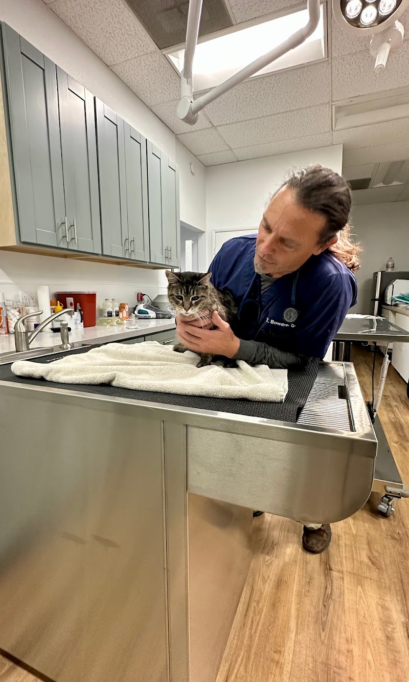 San Marcos Blvd Veterinary Hospital & Urgent Care - Emergency Vet