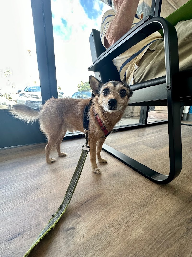 San Marcos Blvd Veterinary Hospital & Urgent Care - Emergency Vet