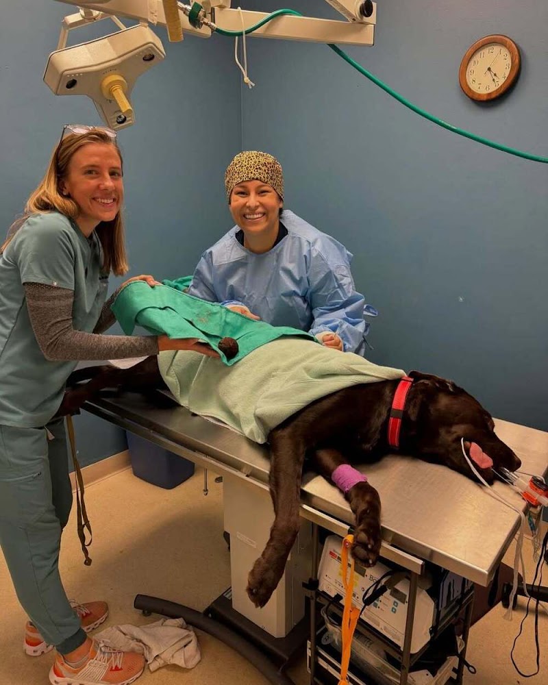 Coyote Ridge Veterinary Clinic