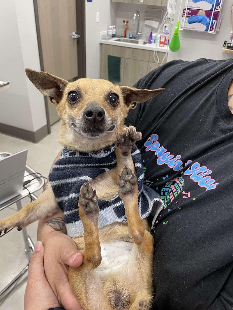 Coyote Ridge Veterinary Clinic