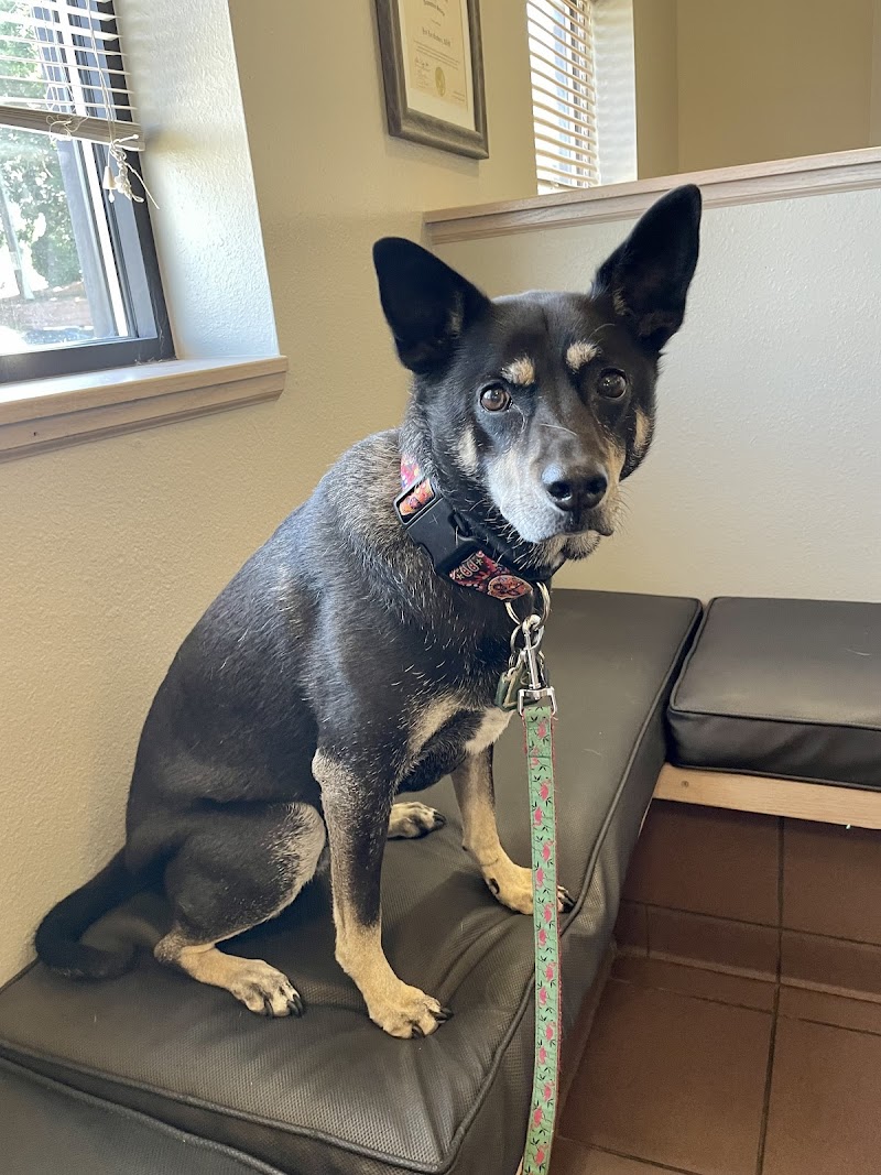 West Denver Veterinary Hospital & Wellness
