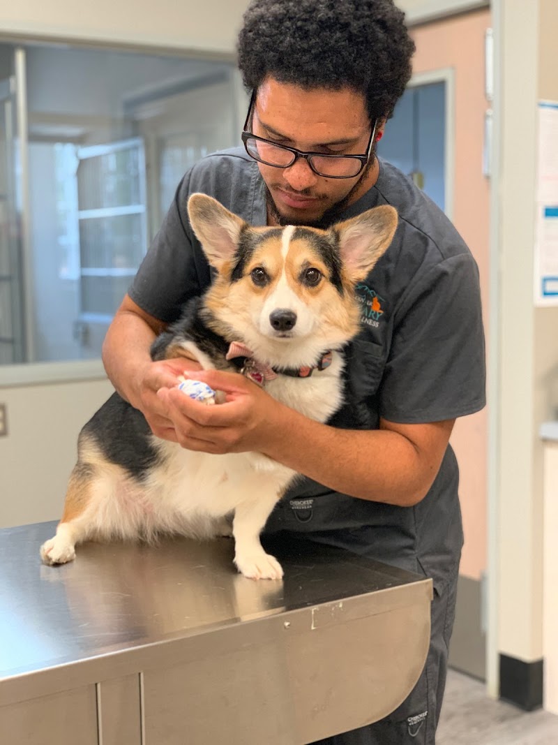 West Denver Veterinary Hospital & Wellness