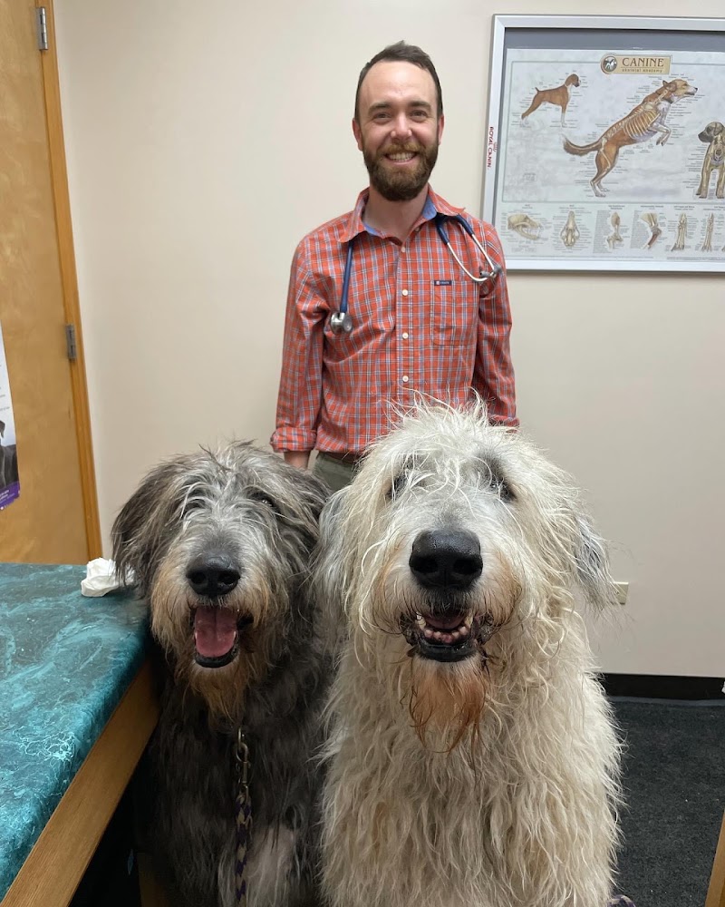 West Denver Veterinary Hospital & Wellness - Wheat Ridge