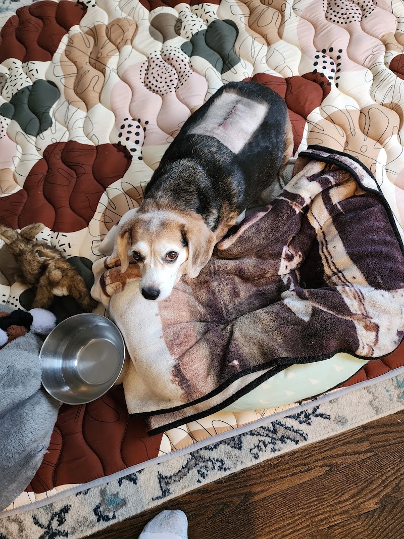 Hickory Veterinary and Specialty Hospital
