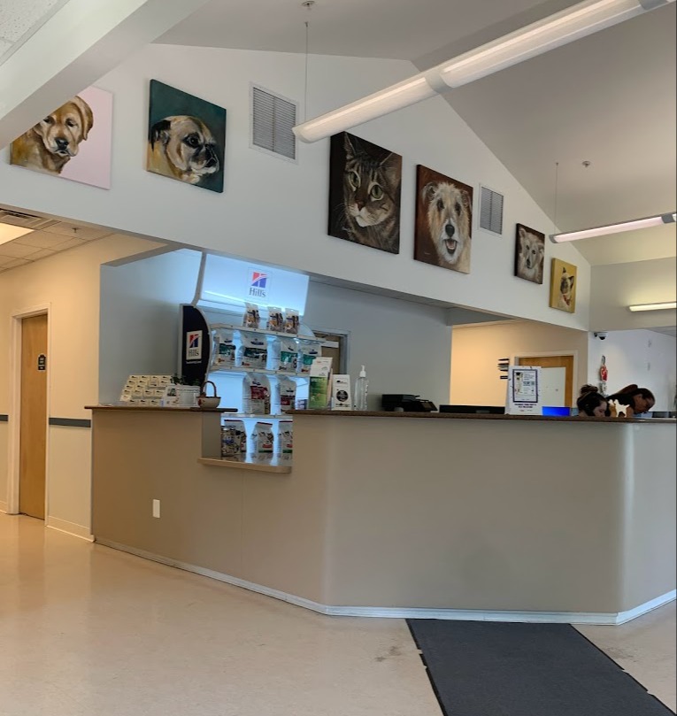 Hickory Veterinary and Specialty Hospital