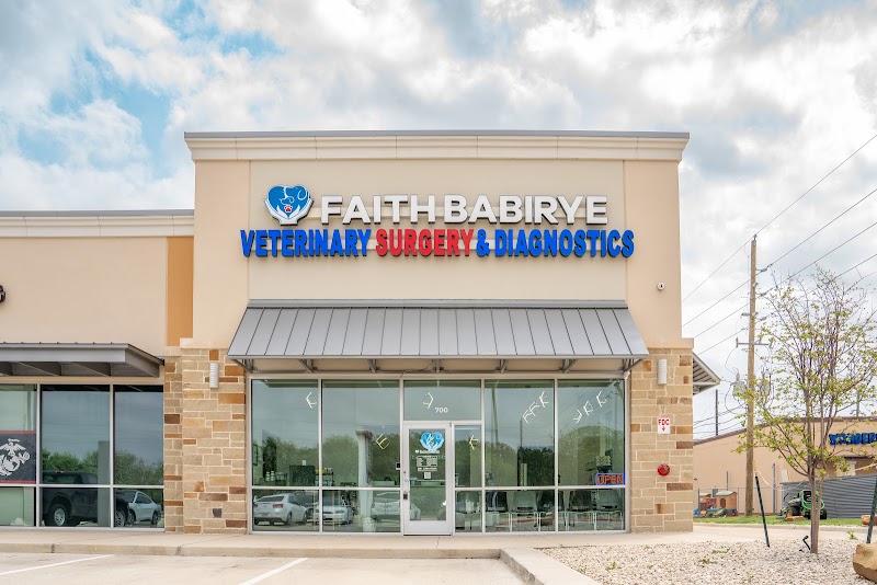 The Faith Babirye Veterinary Surgery and Diagnostics Center - Katy