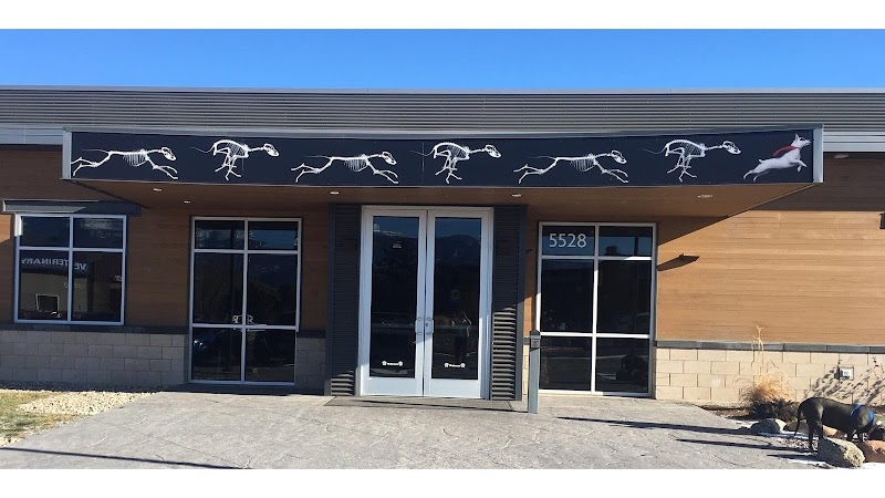 Colorado Canine Orthopedics & Rehab - Colorado Springs