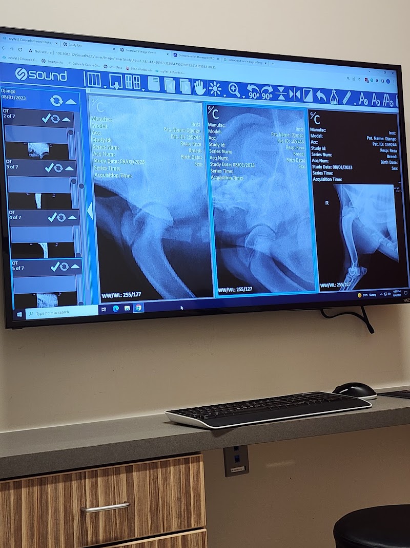 Colorado Canine Orthopedics & Rehab