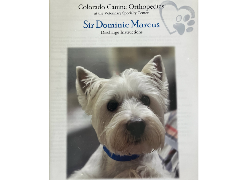 Colorado Canine Orthopedics & Rehab