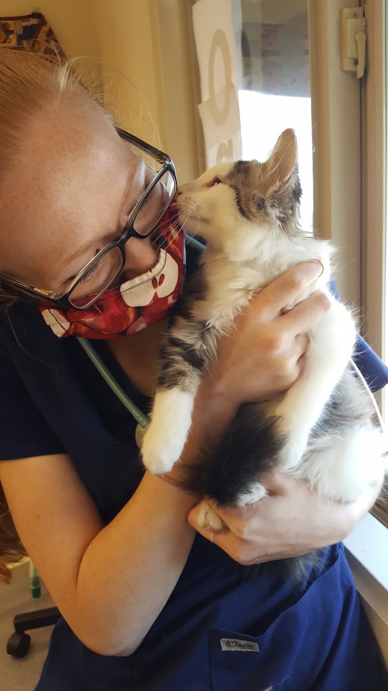 Best Friends Veterinary Medical Center